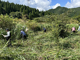 ２００海里の森づくり下草刈り事業